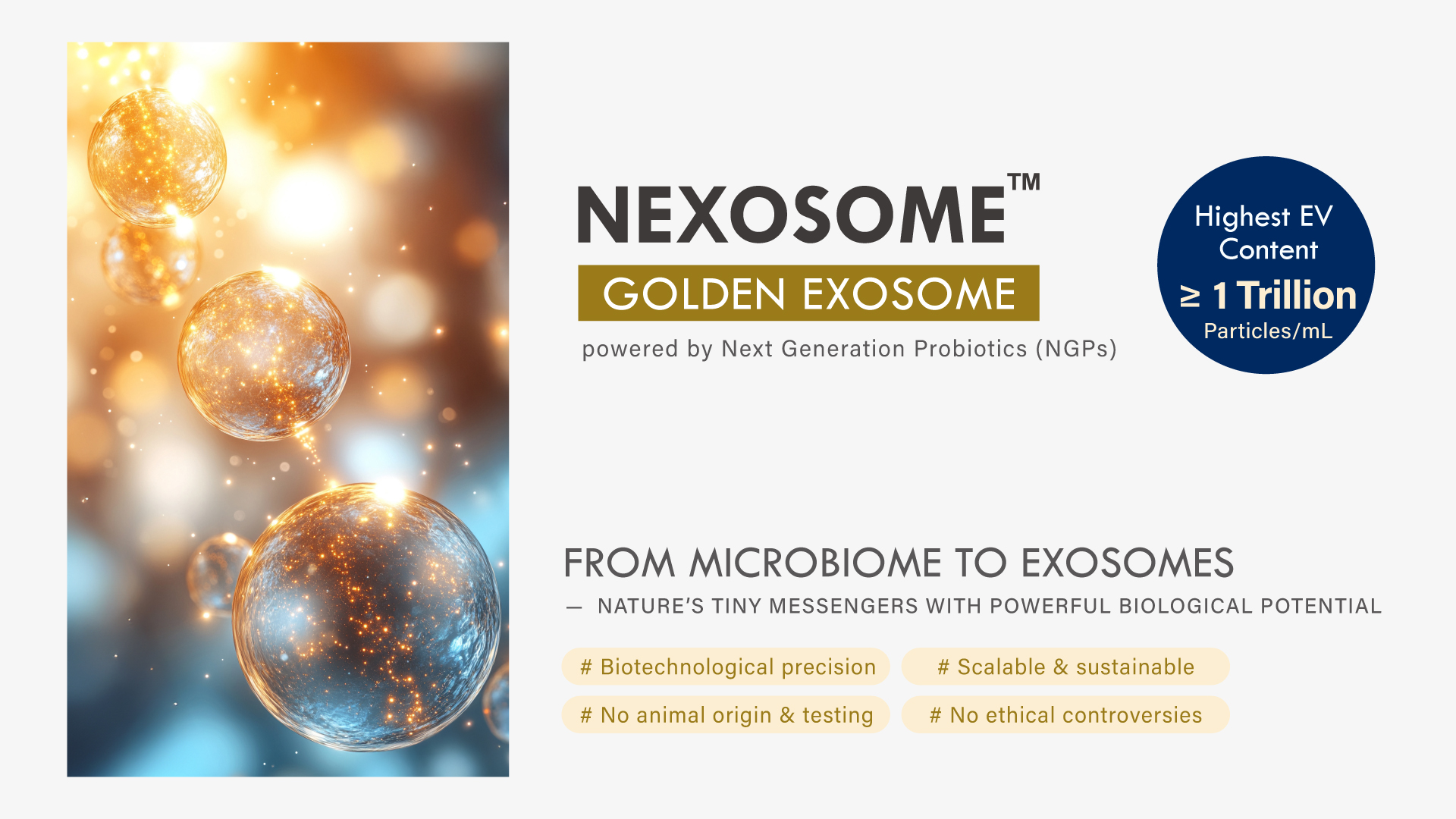 Nexosome GOLDEN EXOSOME cosmetics ingredient from Next Generation Probiotics (NGPs) Parabacteroides goldsteinii